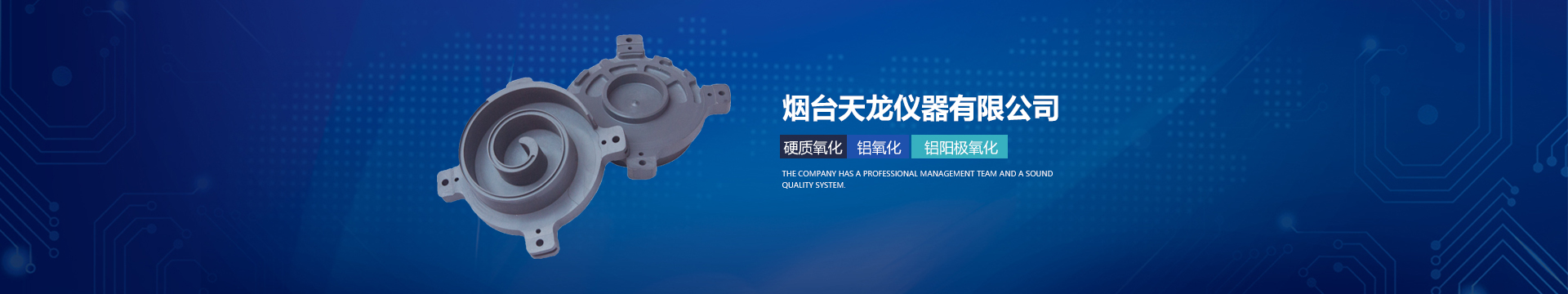 宅男在线视频网站